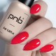 Гел лак PNB 8 мл 013